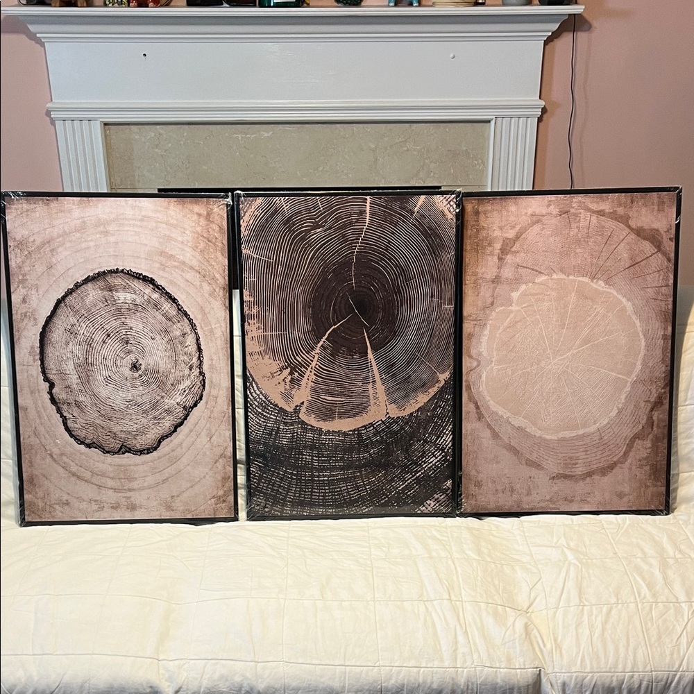 Rustic Tree Ring Wall Art Set - Black and Brown